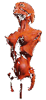 spitzre.gif