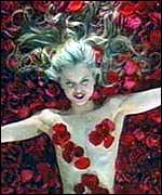_647657_petals.jpg