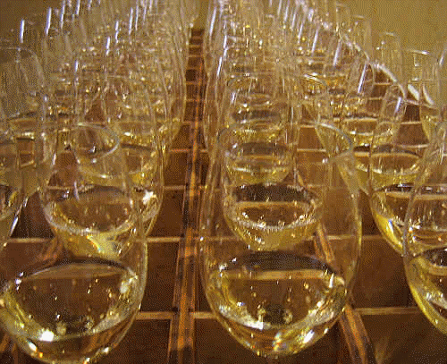 SF_Intl_Wine_2006_Flight_Of_Glasses.gif