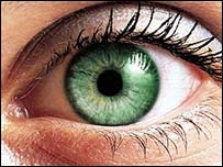 _41817314_green_eye203.jpg