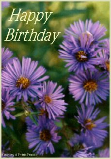 card14.jpg