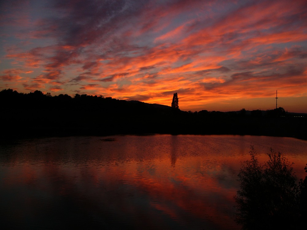 vienna%20-%20donau%20insel%20sunset-1.jpg