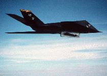 f-117-100000004-s.jpg