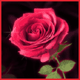 1011-008-79-1042.gif