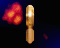 6687.gif