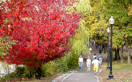 jpondnov03.jpg