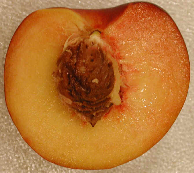 i-peach-half.jpg