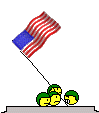 EmoticonIwoJima.gif