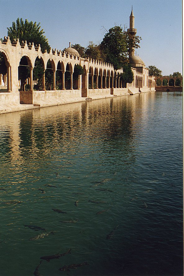 SanliUrfaPoolOfAbraham20002.jpg