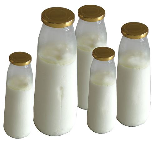 yogurtbig.jpg