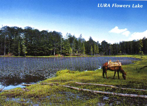 lura02.jpg
