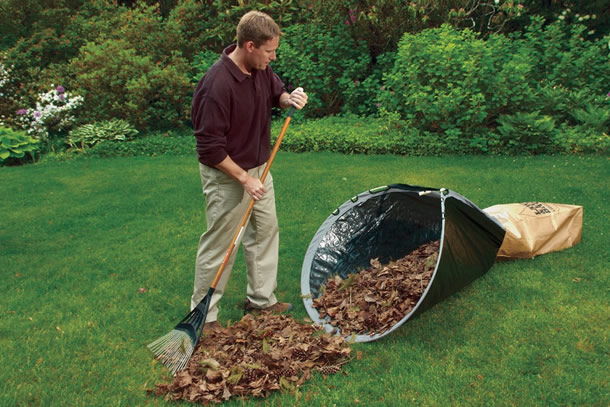 leaf-loader.jpg