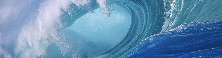 banner4.jpg