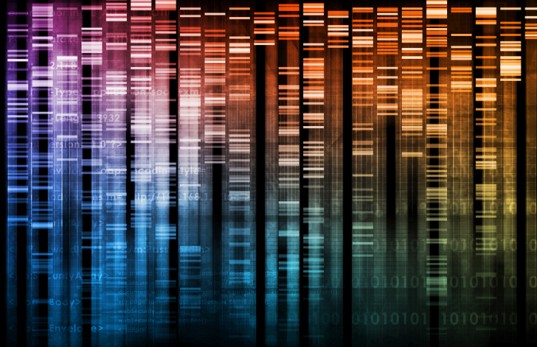 dna-data-library-537x347.jpg