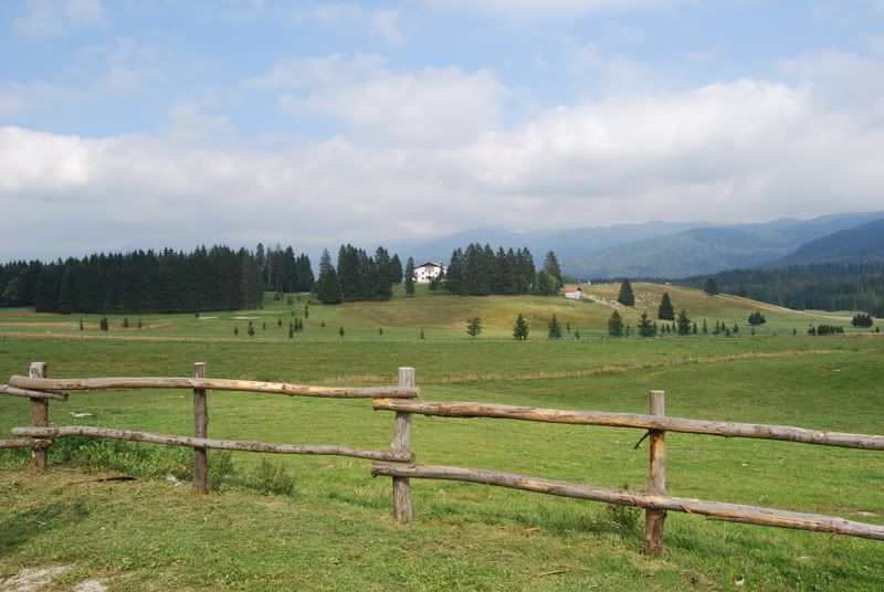 DSC_0242.jpg
