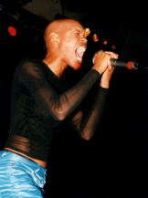 SKUNK_ANANSIE_fgl96_Skin_02C_50.jpg