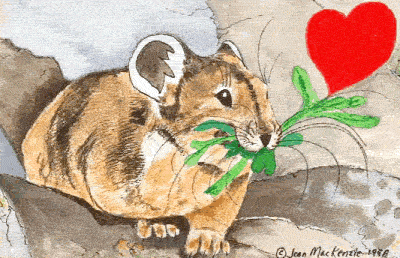 esmerelda-heart-animation.gif
