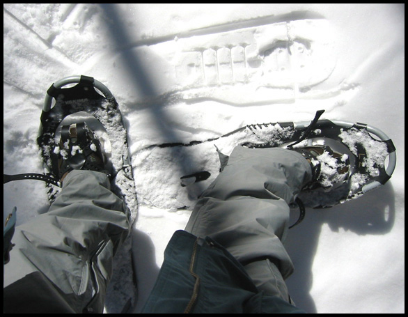 snowshoes.jpg