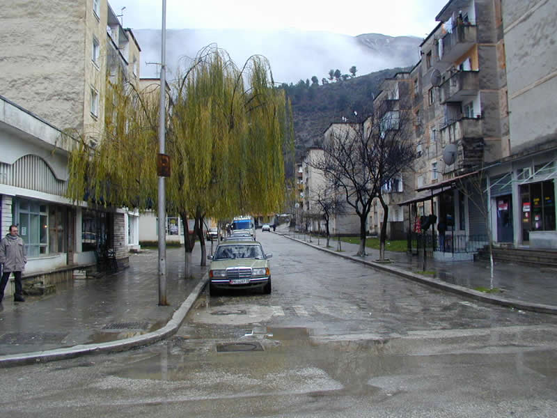 P1.jpg