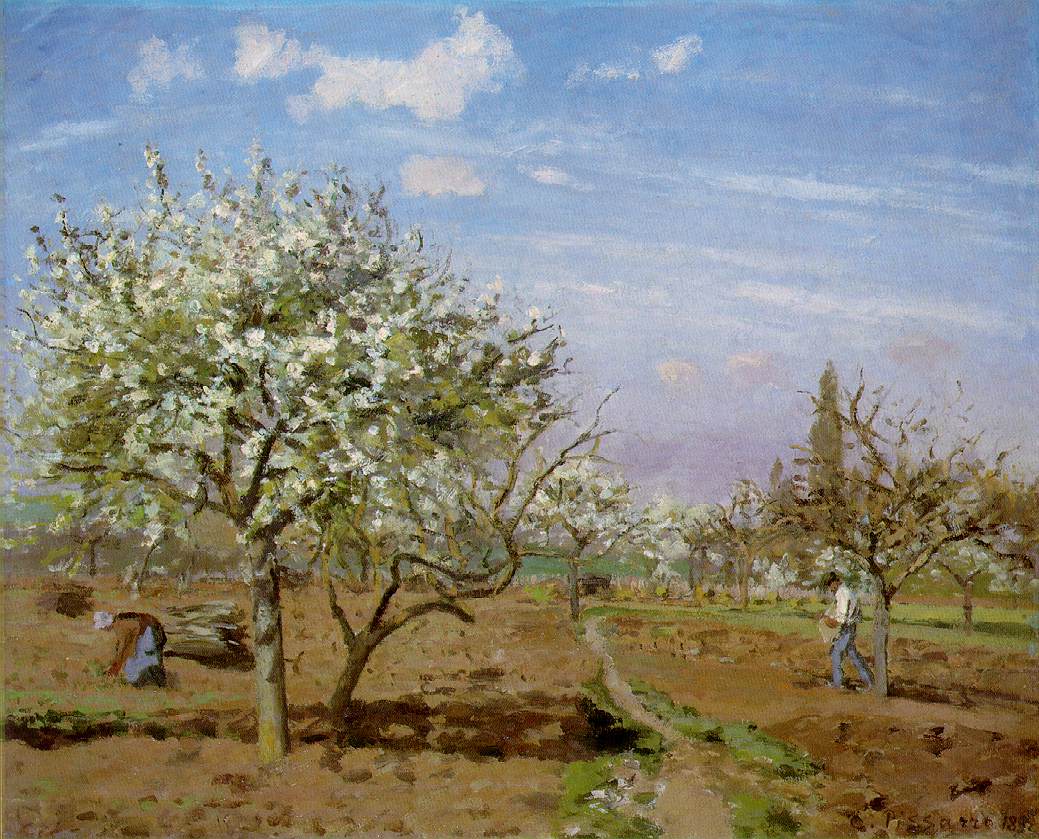 orchard.jpg