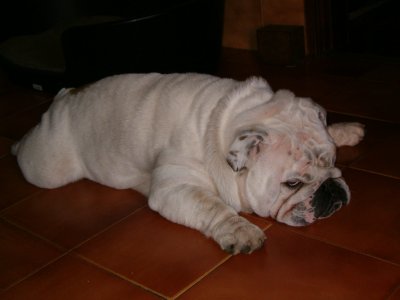 arturo64.jpg