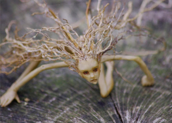 root_by_chicorydell.jpg