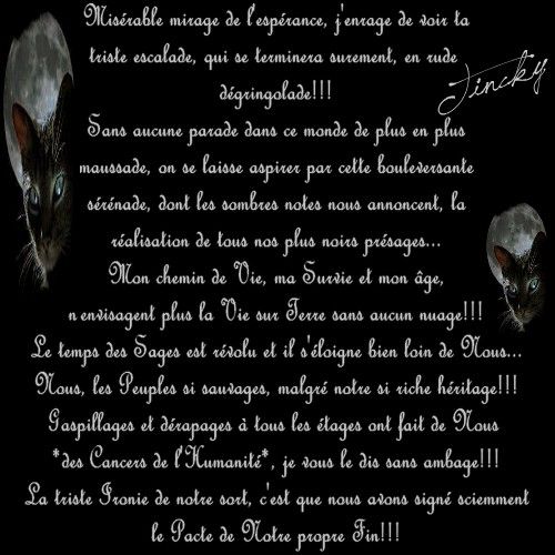 Web-le-pacte-ironique-ecrit-le-22-Avril-2008-copie-1.jpg