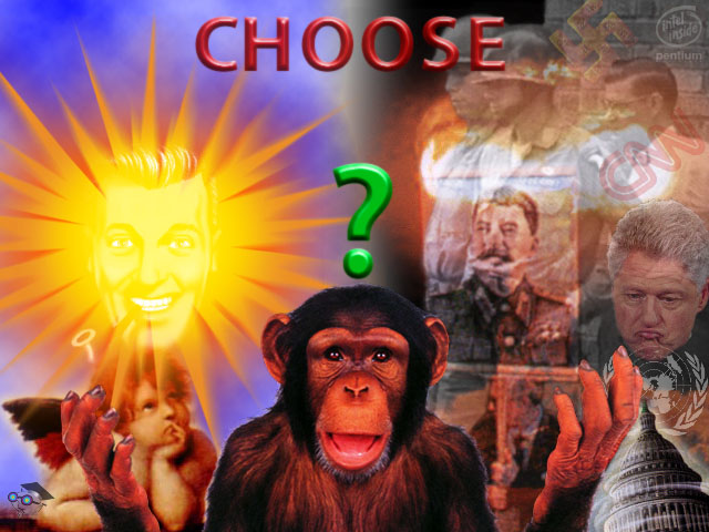 choose.jpg