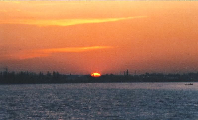 Schelde16.jpg