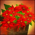 8518-001-17-1070.gif