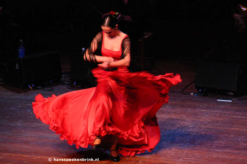 flamenco.jpg