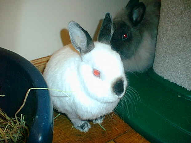 peter_110599.jpg