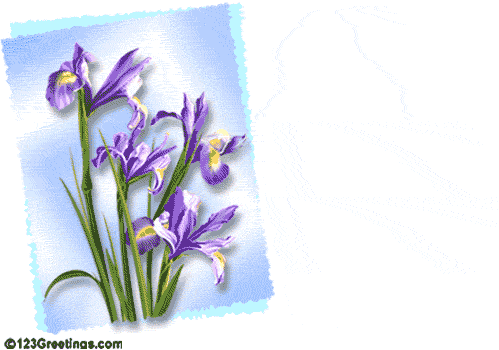 8566-003-11-1040.gif