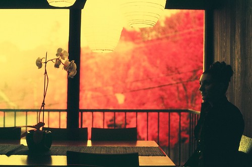 104096005_f0ccaf52be.jpg