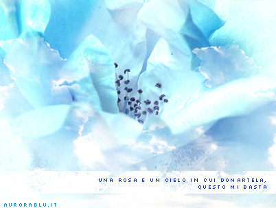 rosa_blu_cielo.jpg
