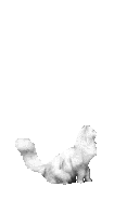 springender_perser.gif