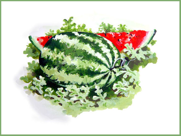 Sweet%20MS%20Watermelon.jpg