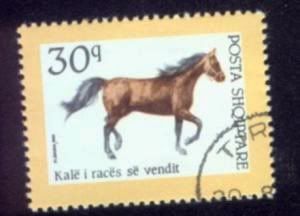 pullekale-Albania1992HorseStamp.jpg